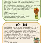 Geografikort – Faktatext med 4 frågor - bild 4