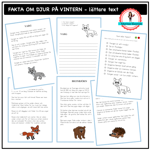 Fakta om djur på vintern - lättare texter