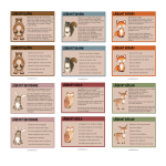 Läskort djur 2 olika nivåer med extra material - bild 2