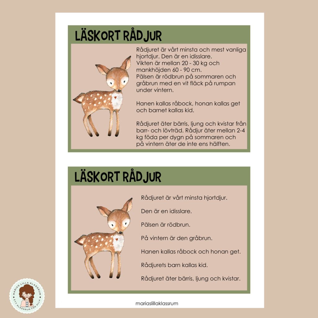 Läskort djur 2 olika nivåer med extra material