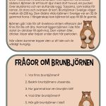 Djur i Norden – läskort med tillhörande frågor - bild 4