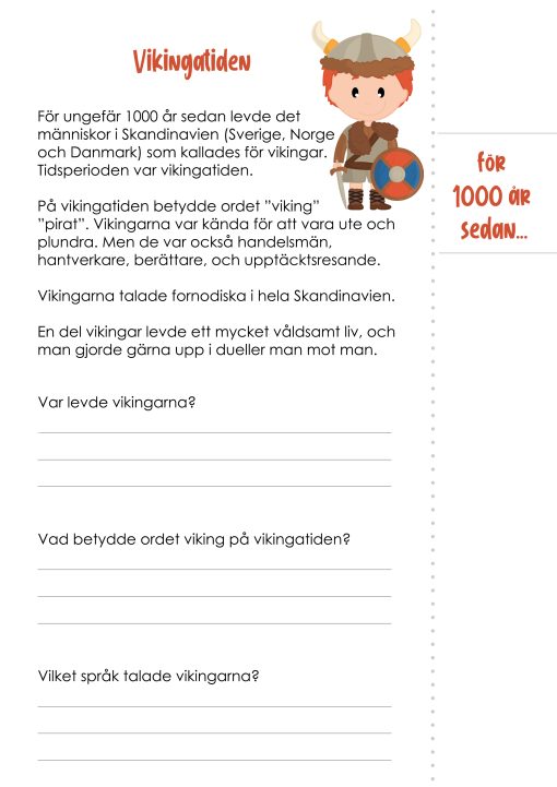 Flikbok - Vikingatiden