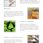 Recept: leklera, månsand & slime - bild 6