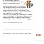 Flikbok – Vikingatiden - bild 5