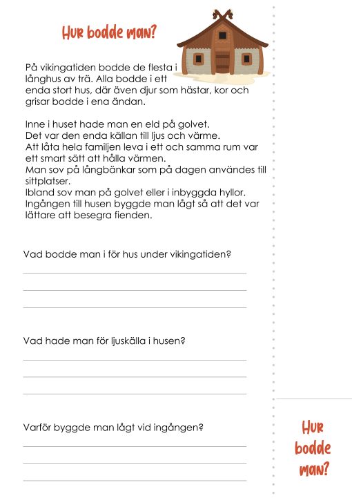 Flikbok - Vikingatiden