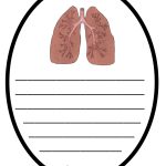 Flipbook om kroppen - bild 2