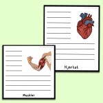 Flipbook om kroppen - bild 3