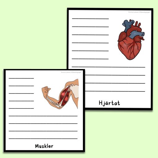 Flipbook om kroppen