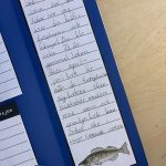 Östersjön – Flipbook - bild 3