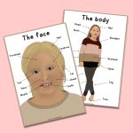 The body – ett stort engelska paket om kroppen - bild 7