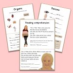 The body – ett stort engelska paket om kroppen - bild 2
