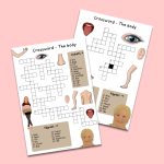 The body – ett stort engelska paket om kroppen - bild 4