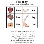The body – ett stort engelska paket om kroppen - bild 6