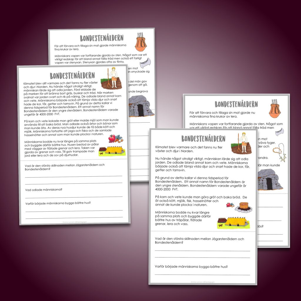 Bondestenåldern – Läsförståelse