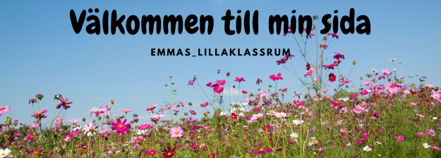 Emmas_ Lillaklassrum