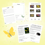 Min bok om djur och natur - bild 2