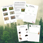 Min bok om djur och natur - bild 3