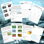 Min bok om djur och natur - bild 6