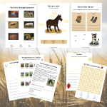 Min bok om djur och natur - bild 5