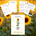 Min bok om djur och natur - bild 7