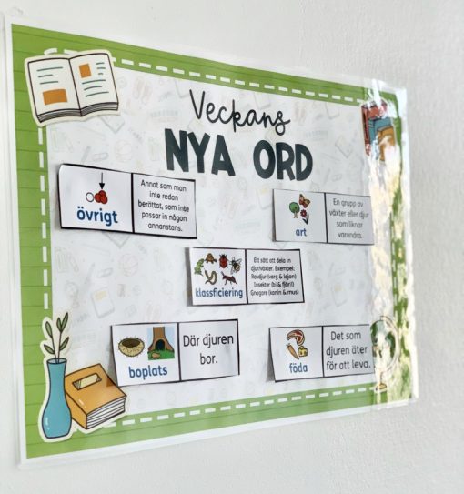 Poster: "Veckans nya ord"