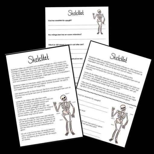 Kroppen - läsförståelsepaket