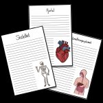 Kroppen – läsförståelsepaket - bild 4