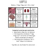 Kroppen – korsord, ordgömma, memory & begreppskort - bild 2