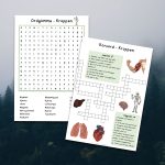 Kroppen – korsord, ordgömma, memory & begreppskort - bild 1