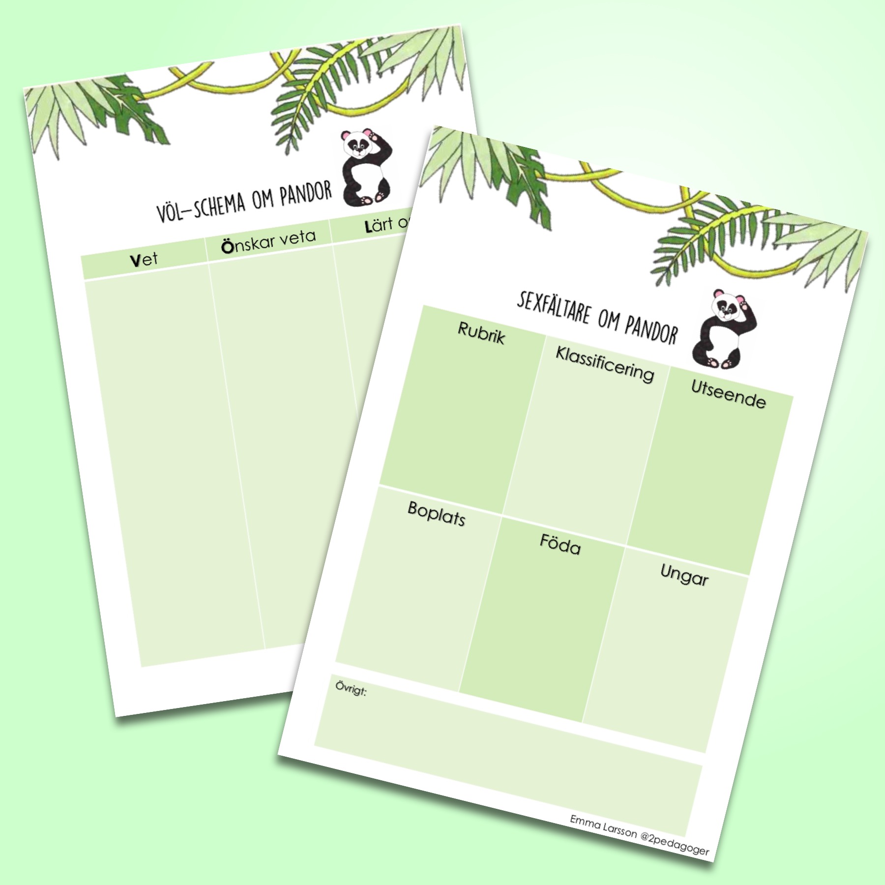 Pandan Pao - Lärarhandledning