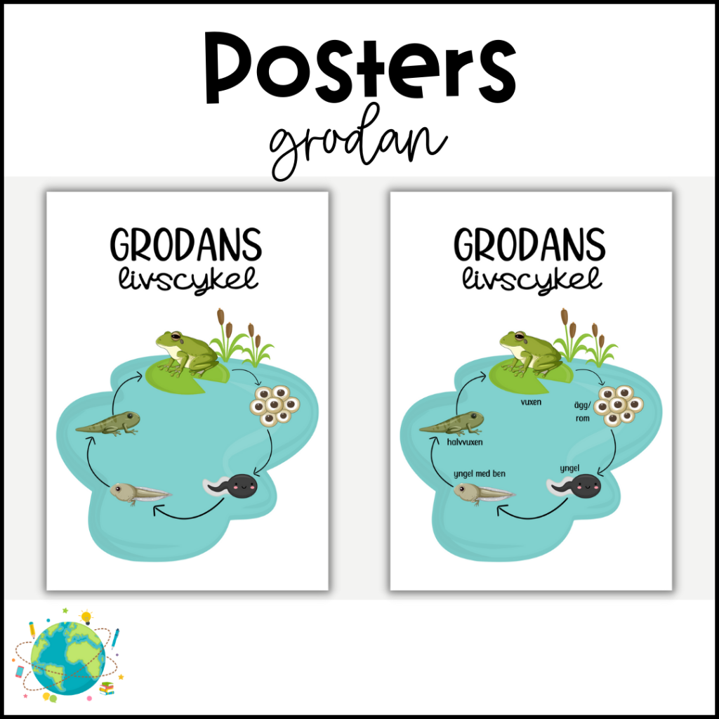 Posters – Grodans Livscykel