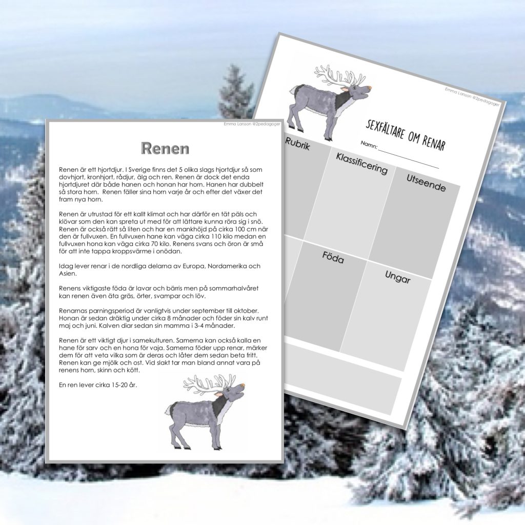 Renen – Skriva faktatext