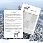 Renen – Skriva faktatext - bild 1