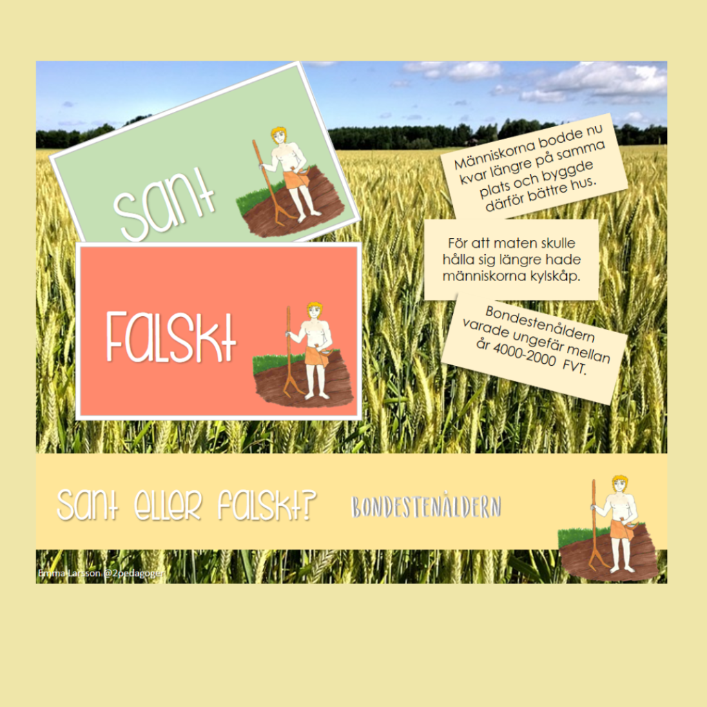 Sant eller falskt? – Bondestenåldern