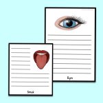 Flipbook om sinnen - bild 2