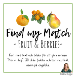 Find my match – Fruit and Berries - bild 1