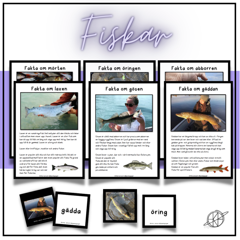 Fiskar – faktatexter och memory