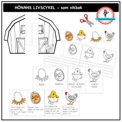 Hönans livscykel - som vikbok