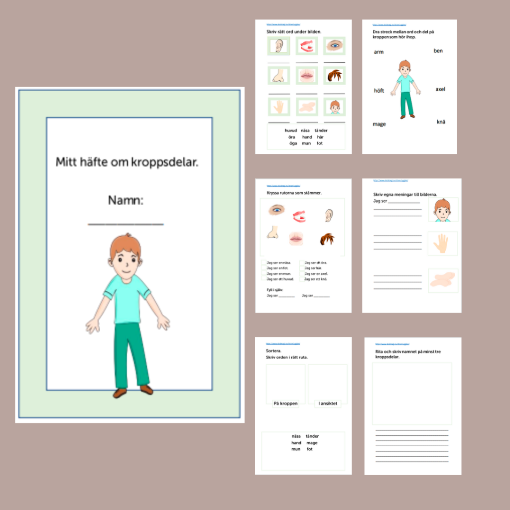 Arbetshäfte om kroppen.