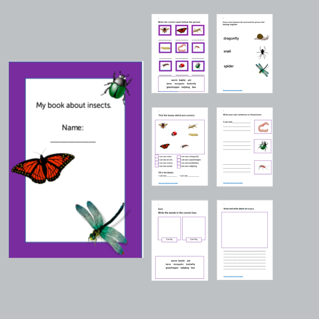 Workbook about insects.