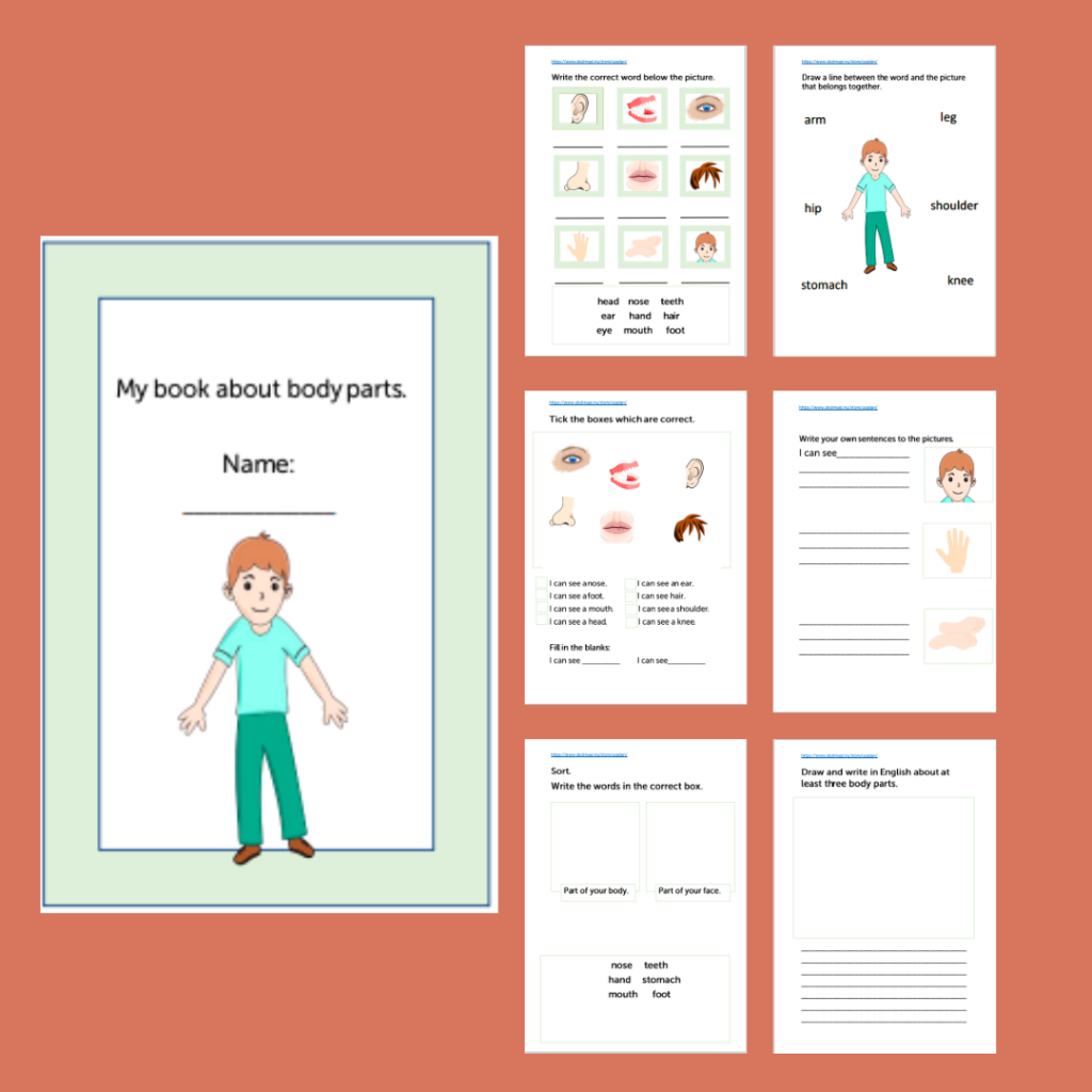Workbook about body parts.
