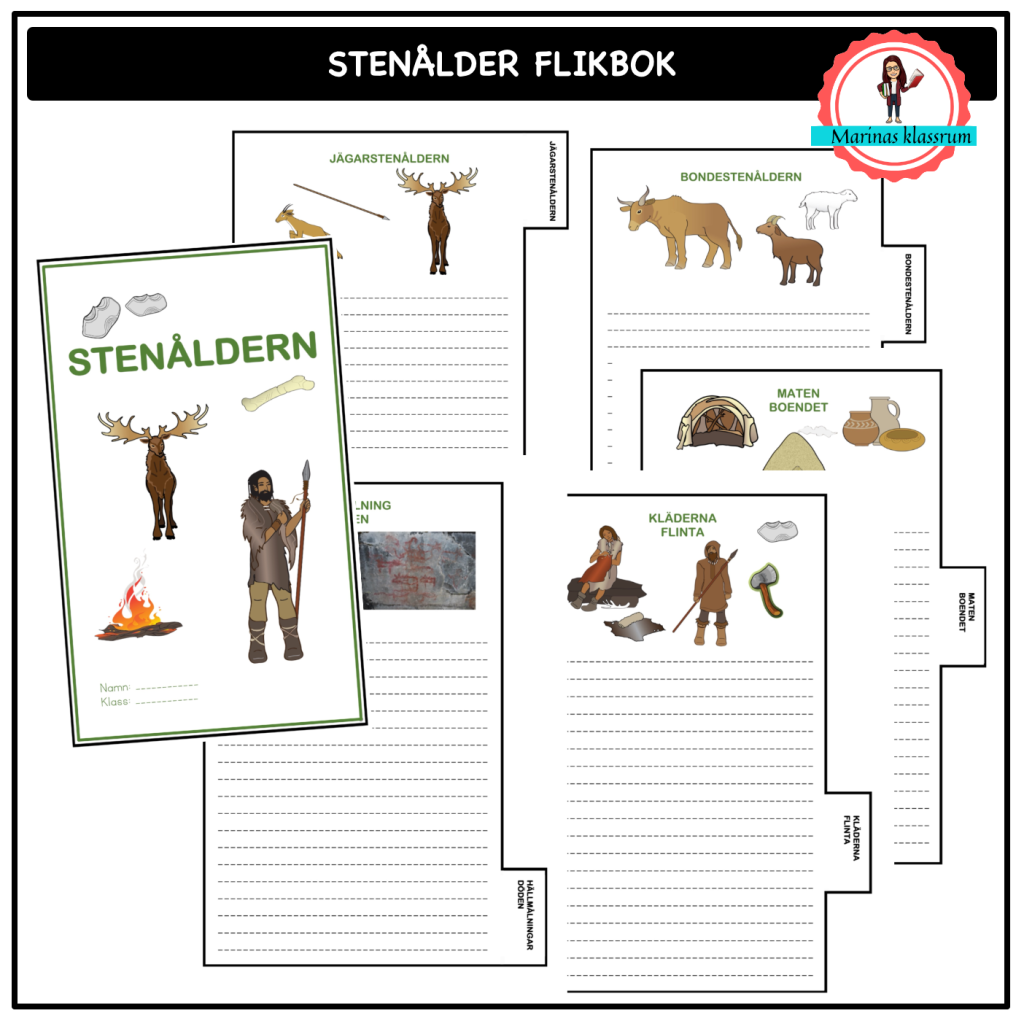Stenåldern – flikbok