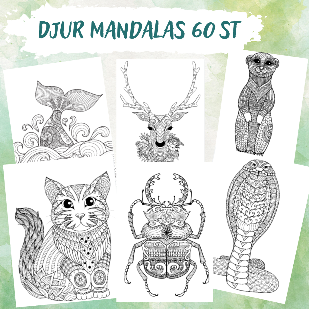 Mandala djur 60st