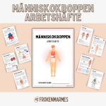 Människokroppen – Arbetshäfte - bild 1