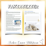 TALA -LÄSA – SKRIVA (blandade övningar inför NP Sv år 3) - bild 2