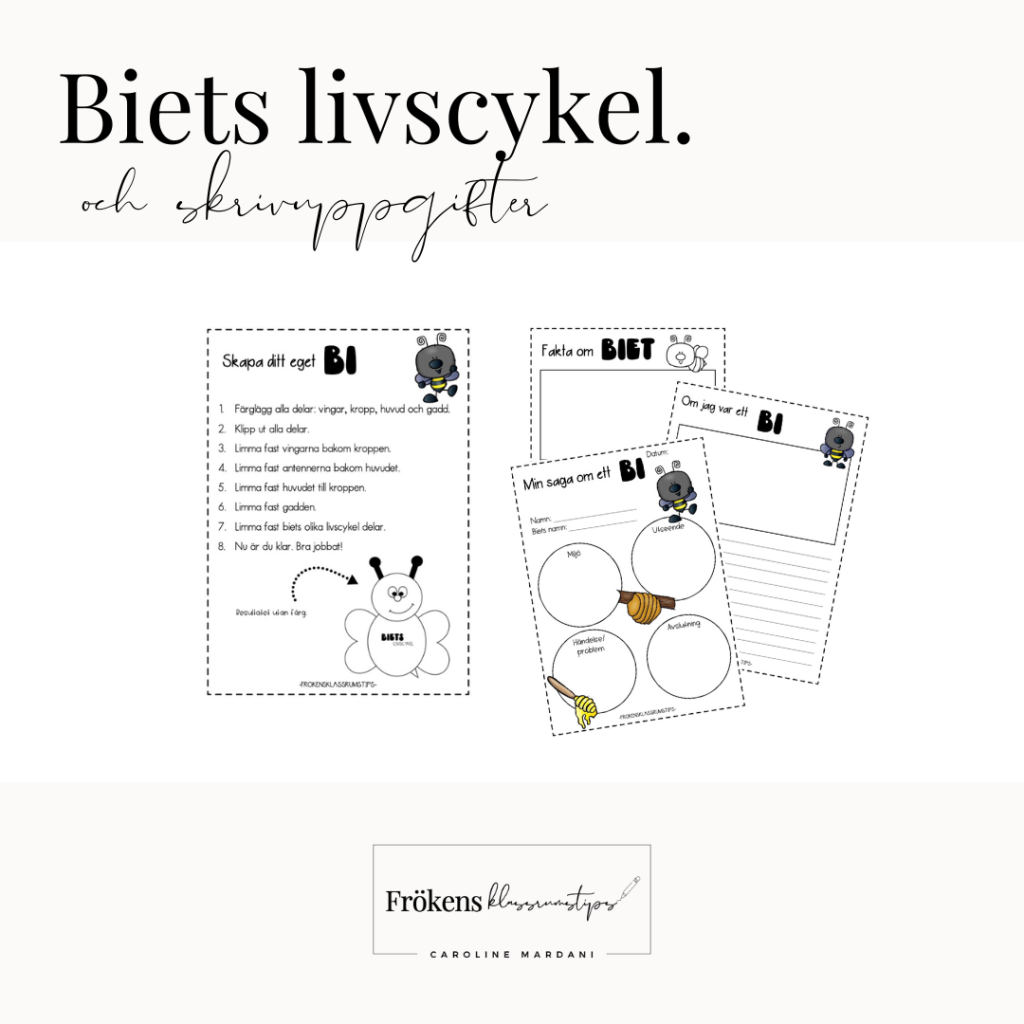 Biets livscykel