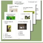 Våren – ett litet paket - bild 6