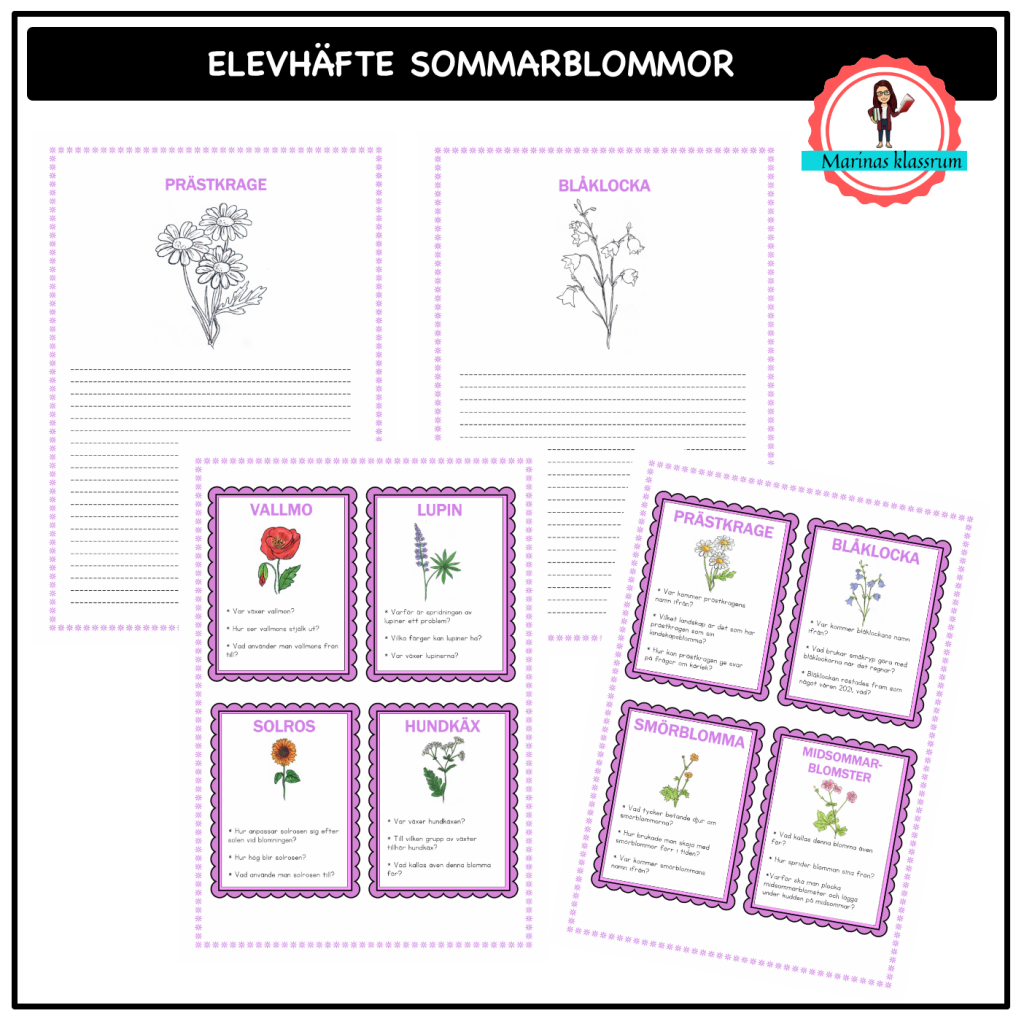 Elevmaterial till faktakort om sommarblommor