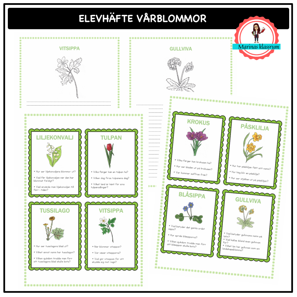 Elevmaterial till faktakort om vårblommor