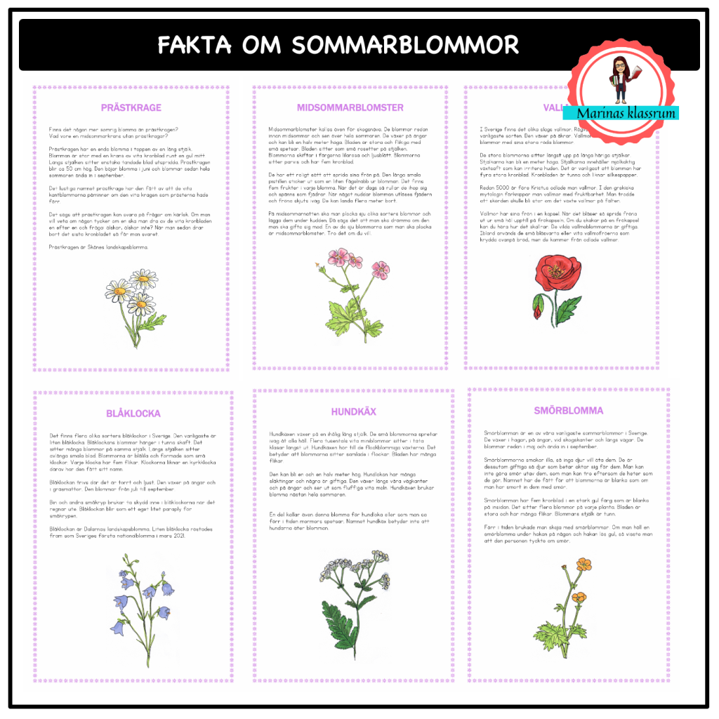 Faktakort om sommarblommor